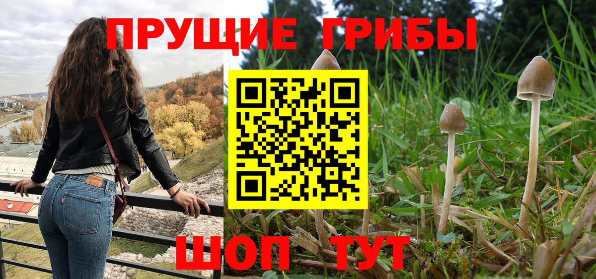 Галлюциногенные грибы Cubensis Кириши