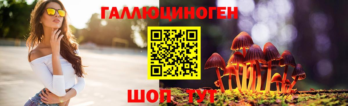 Галлюциногенные грибы прущие грибы  Вход с VPN  Кириши 